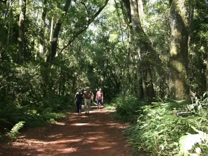 Parque Nacional do Iguaçu