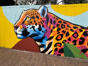 60 anos da Ponte da Amizade: Obra de arte une turismo e conservação