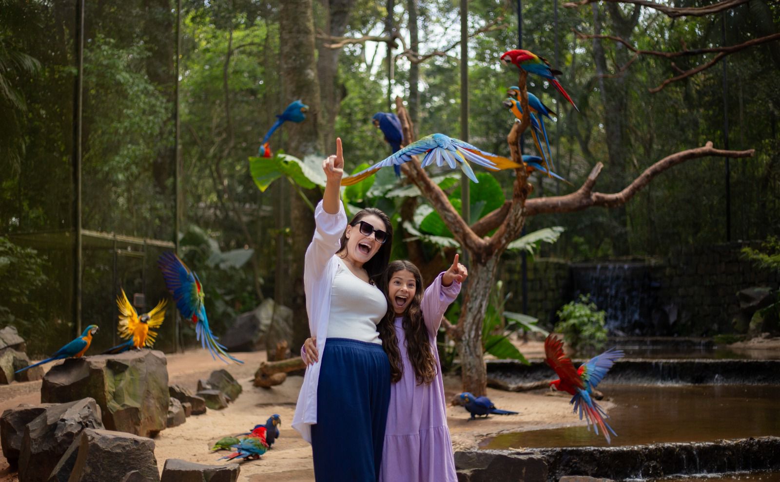Parque das Aves celebra 31 anos como referência em conservação de espécies da Mata Atlântica