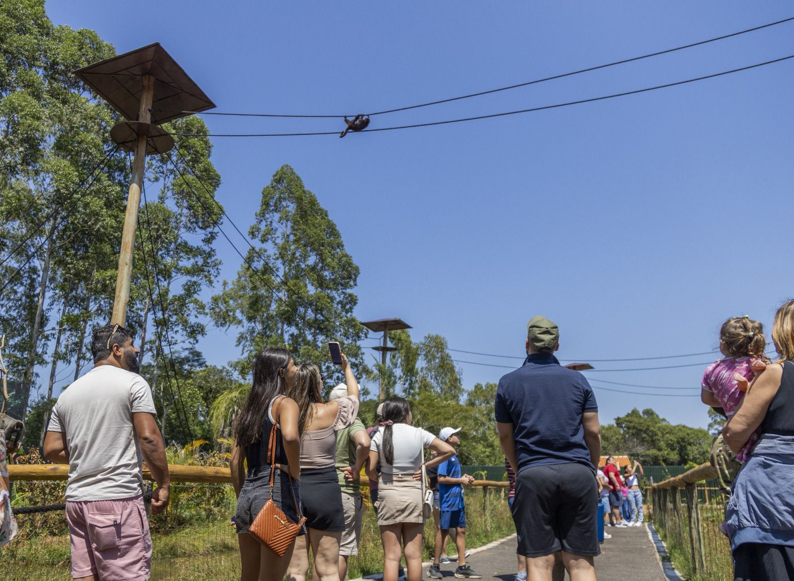 Eco Park Foz celebra aniversário com entrada gratuita para moradores de Foz e descontos especiais para outras cidades
