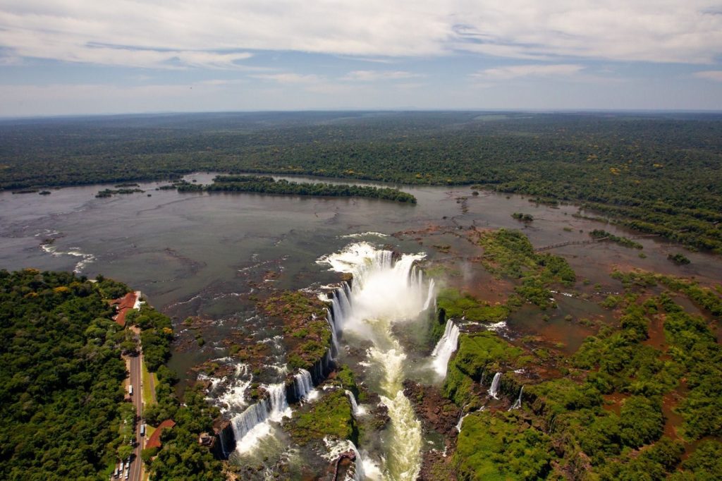 Parque Nacional do Iguaçu celebra o Dia Internacional da Onça-Pintada com o “batismo” de nova onça-pintada