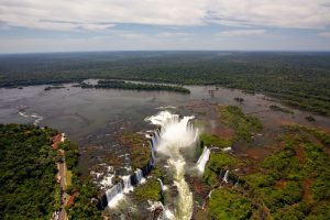 Parque Nacional do Iguaçu celebra o Dia Internacional da Onça-Pintada com o “batismo” de nova onça-pintada