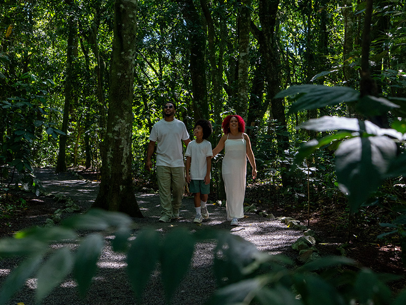 Trilha do Refúgio Ecológico