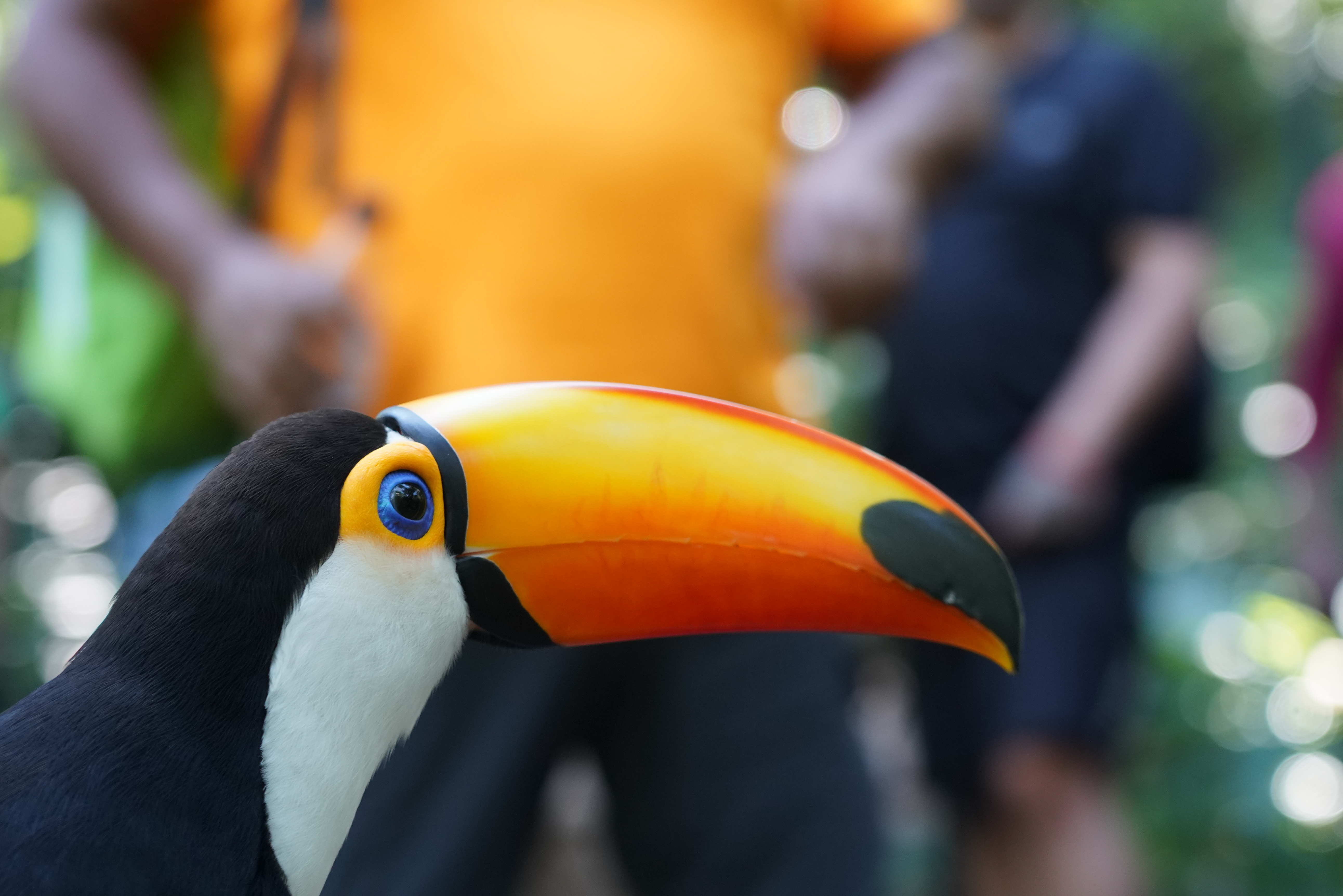 Parque das Aves