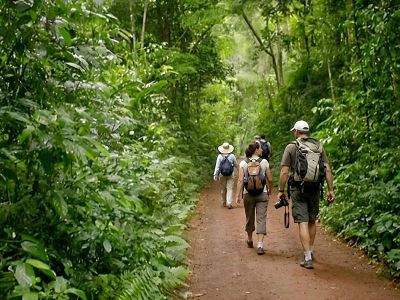 Passeio de bicicleta no Parque Nacional do Iguaçu