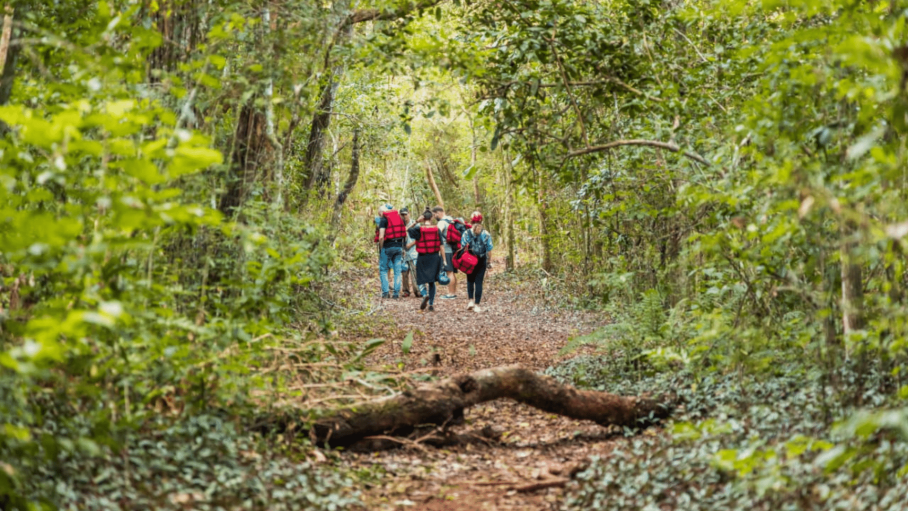 Iguassu Secret Falls