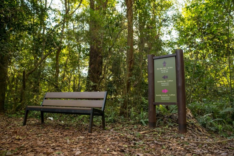 Trilha da Canafístula (26)